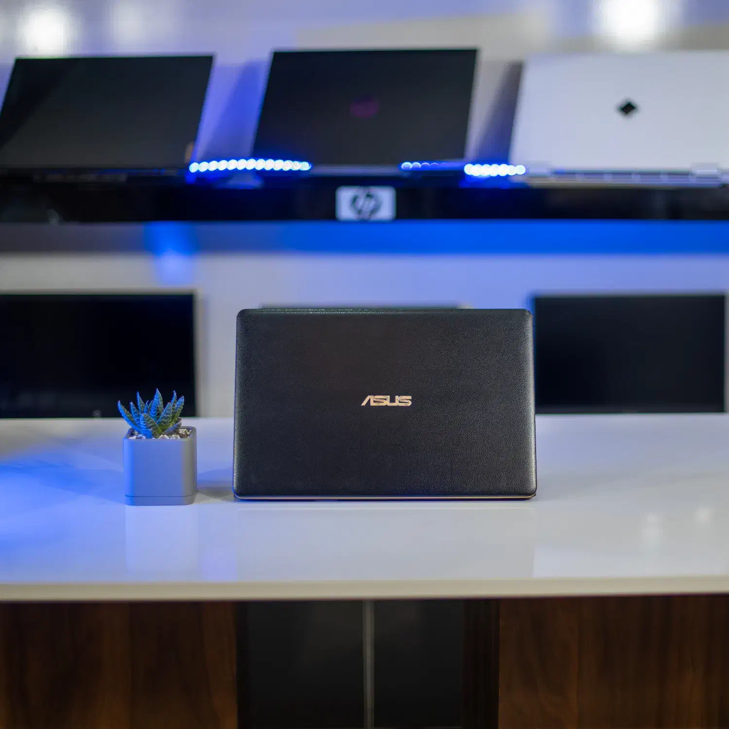 لپتاپ 14 اینچی ASUS ZENBOOK با پردازنده i5|رایانه همراه|یزد, |دیوار