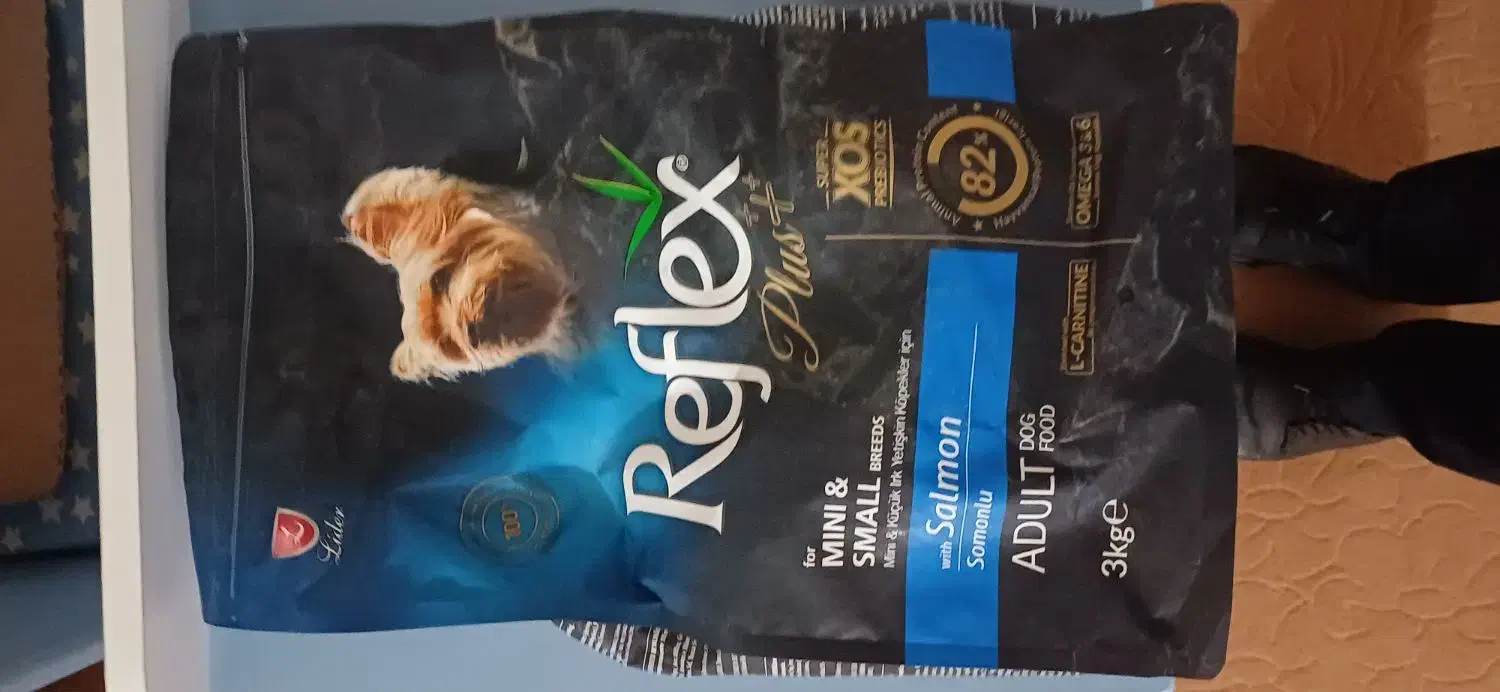 غذایی سگ وماشین اصلاح مخصوص|سگ|سلماس, |دیوار