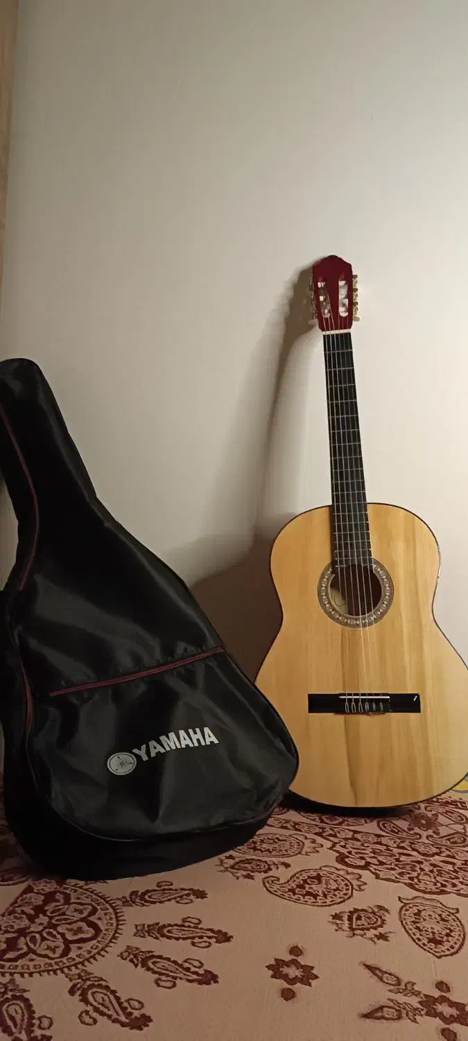 گیتار(به همراه کاور)|گیتار، بیس، امپلیفایر|کوهدشت, |دیوار