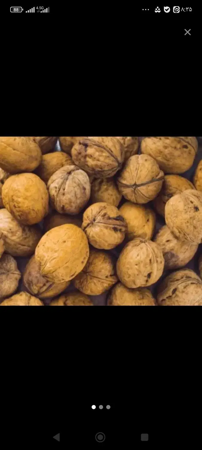 گردو|خوردنی و آشامیدنی|یاسوج, |دیوار