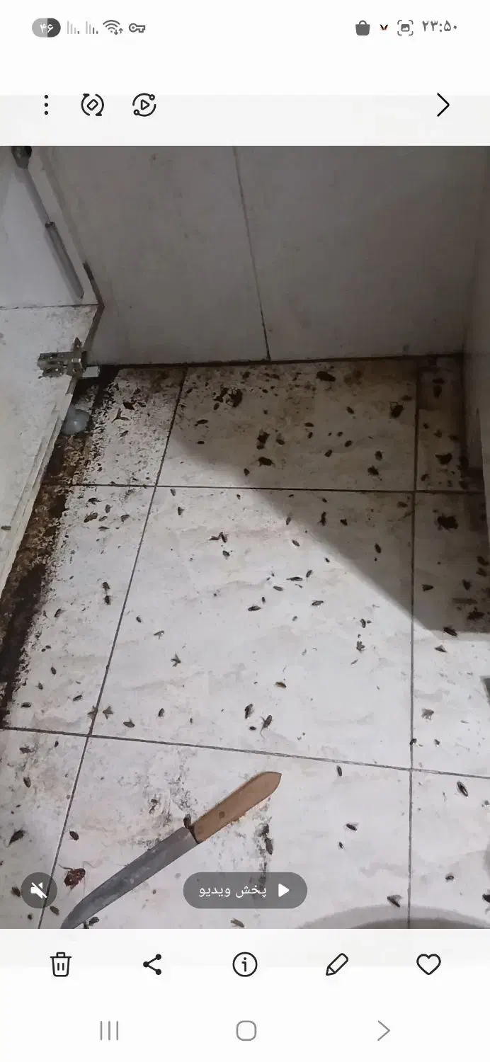 سم پاشی(سمپاشی)فروش سم ساس سوسک موش موریانه وحشرات|خدمات نظافت|سمنان, |دیوار