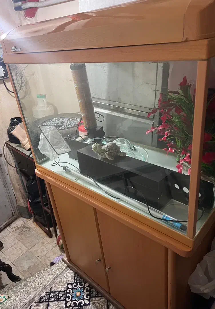 فروش آکواریوم کامل با میز و لوازم|ماهی|رشت, حمیدیان|دیوار