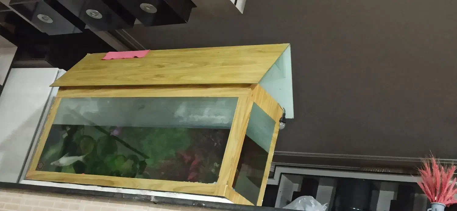 آکواریوم بزرگ با همه وسایل و سه تا ماهی|ماهی|زابل, |دیوار