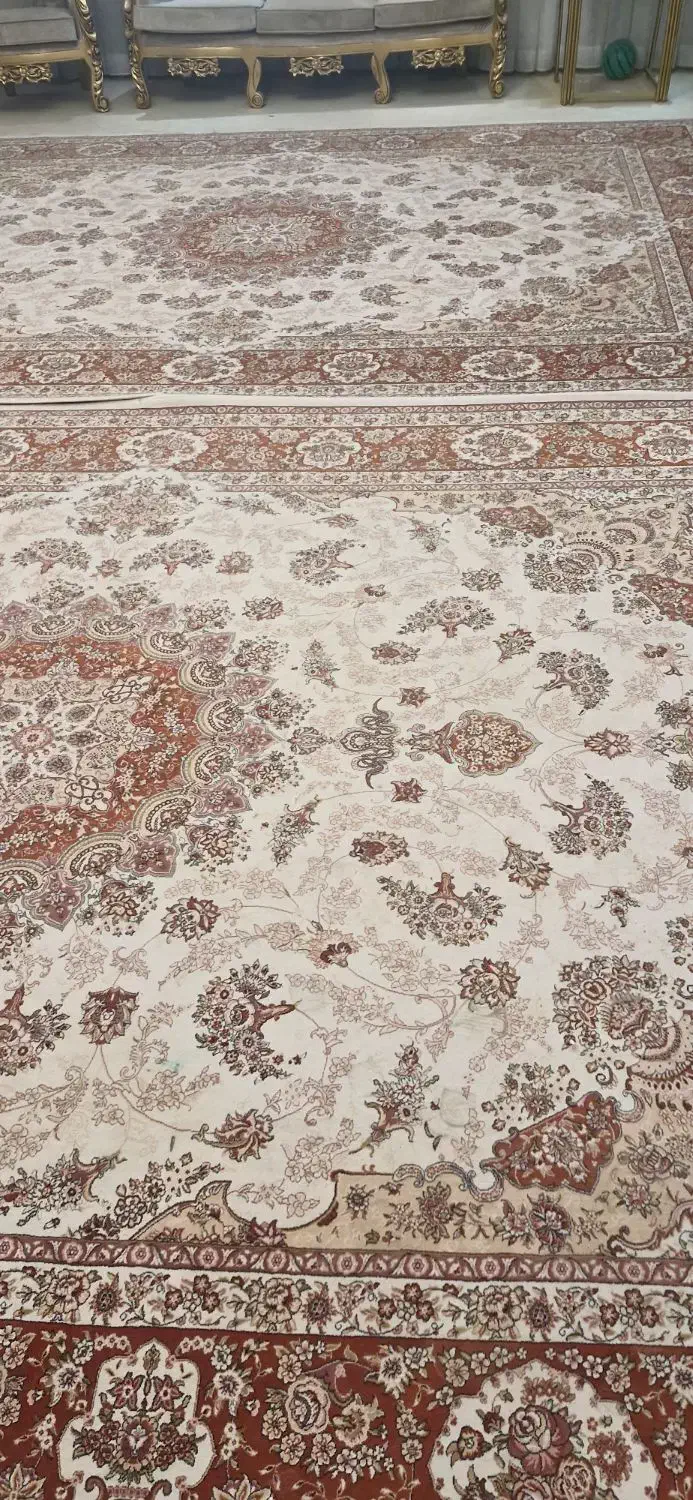 فرش ۱۲ متری|فرش|اراک, |دیوار