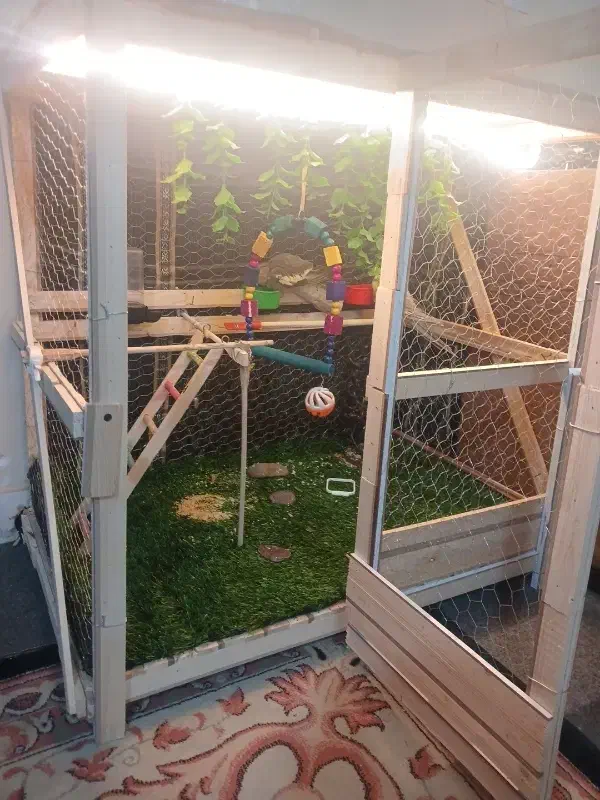 قفس|لوازم جانبی حیوانات|اراک, |دیوار