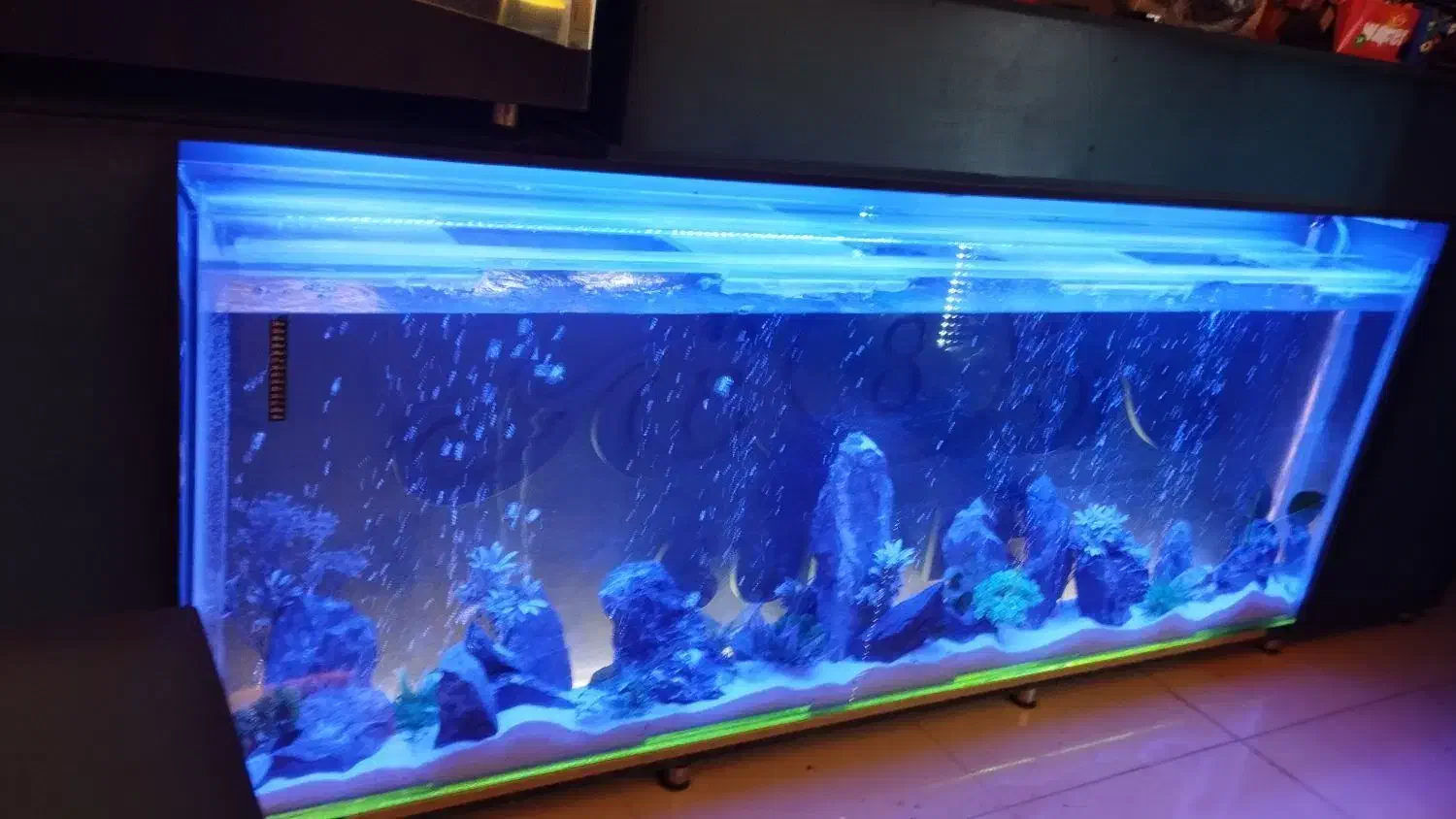 آکواریوم ۲۲۰|ماهیگیری|خرم‌آباد, |دیوار