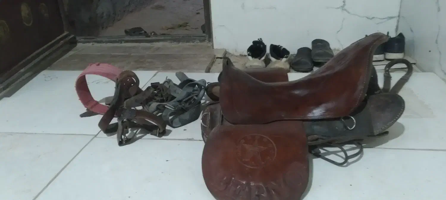 زین درحد|لوازم جانبی حیوانات|اراک, |دیوار