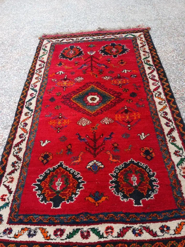 فرش دستبافت قدیمی که با حساسیت نگه داری شده|فرش|مرودشت, نقش رستم|دیوار