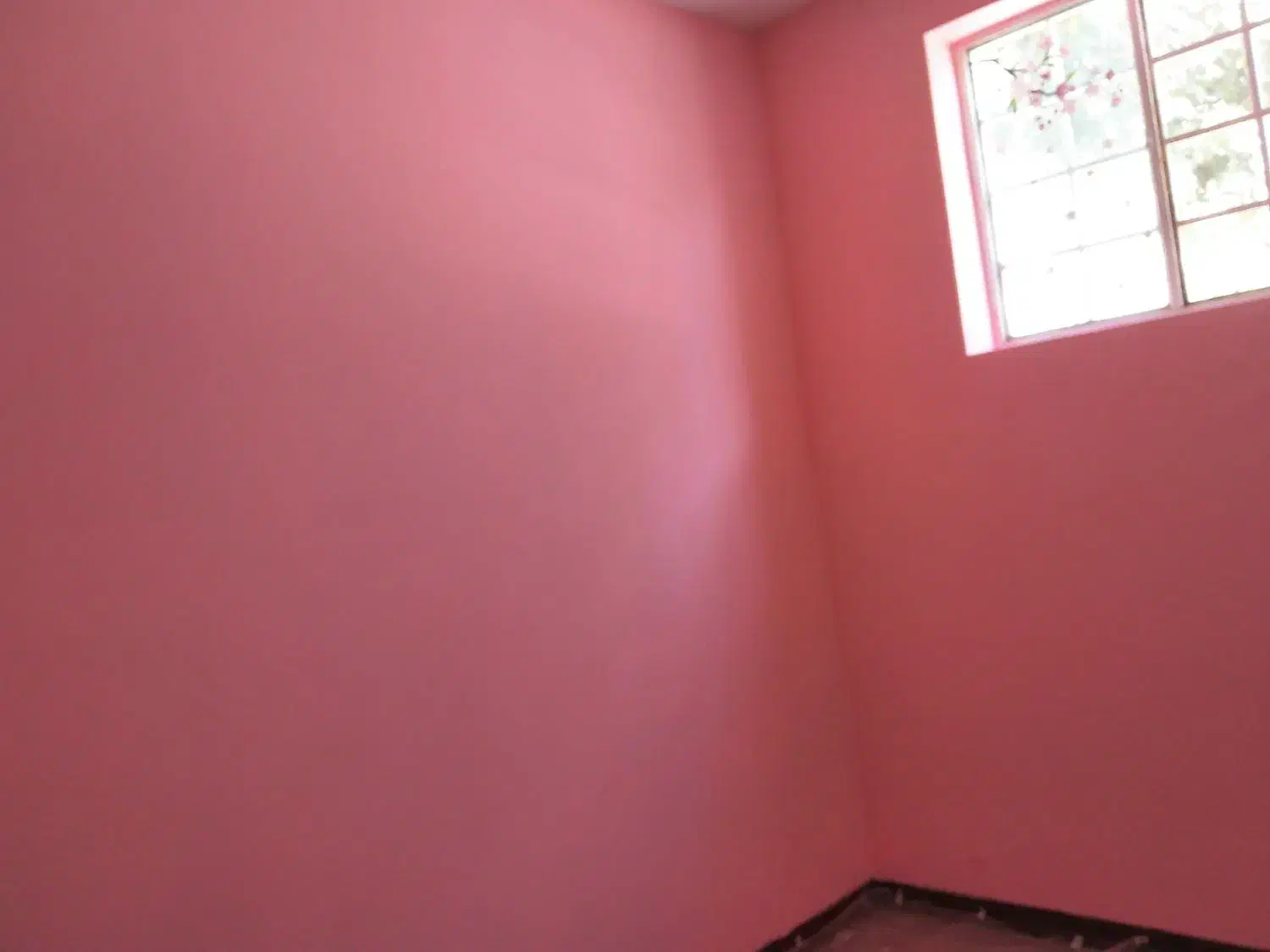 نقاشی ساختمان|خدمات پیشه و مهارت|نیشابور, میدون بار|دیوار