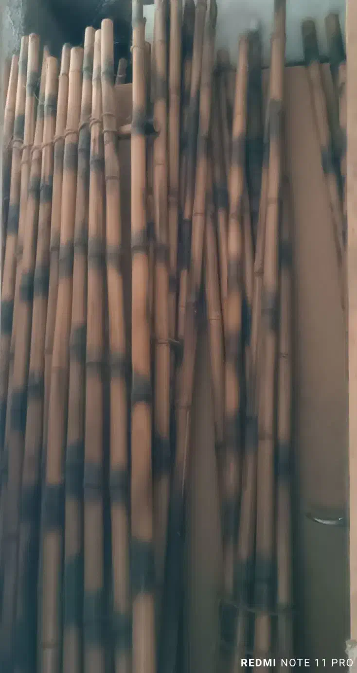 بامبو|صنایع دستی و سایر لوازم تزئینی|آزادشهر, |دیوار