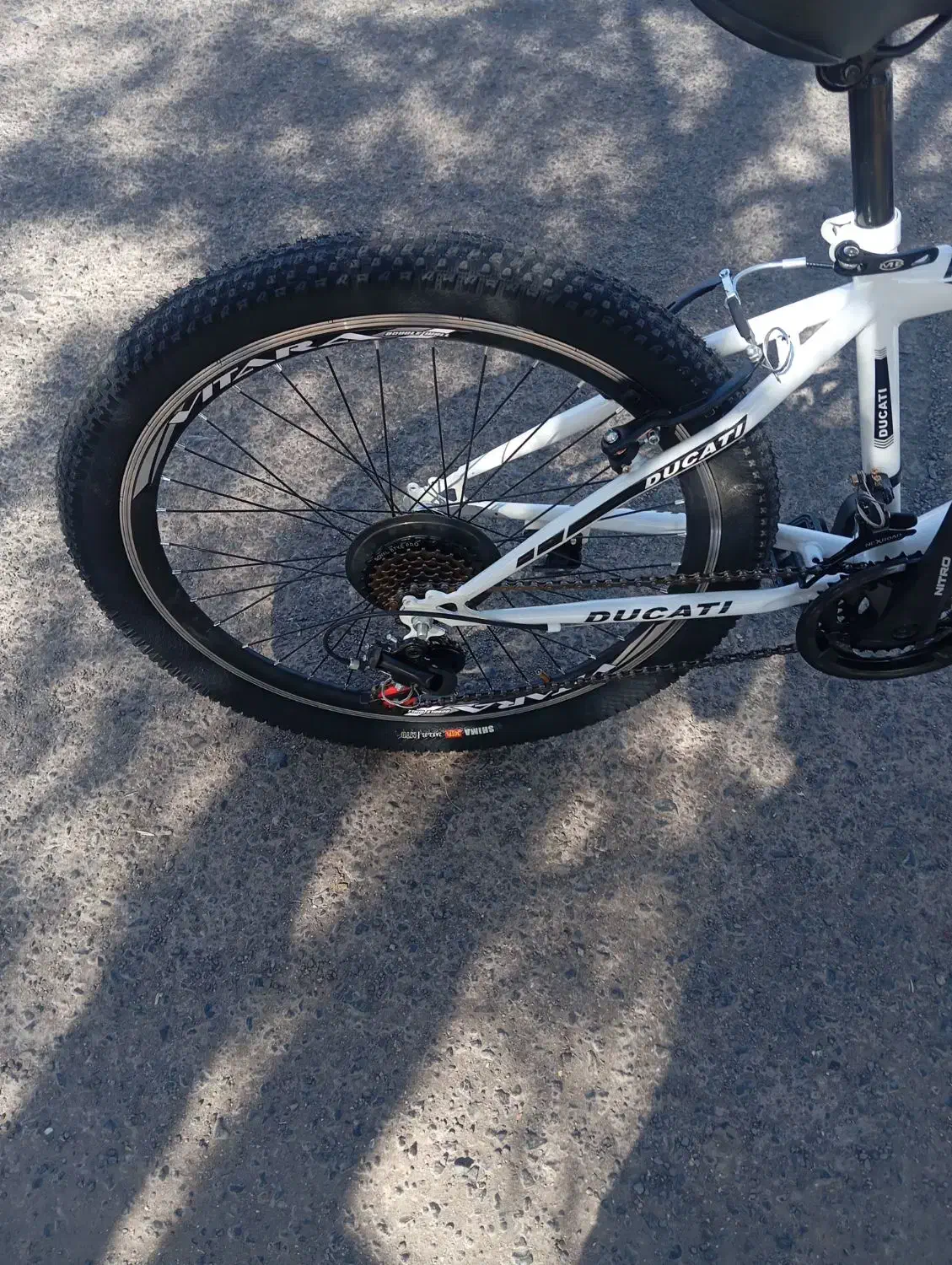 دوچرخه 24 تنه بزرگ شرکت دوکاتی|دوچرخه، اسکیت، اسکوتر|اردستان, |دیوار