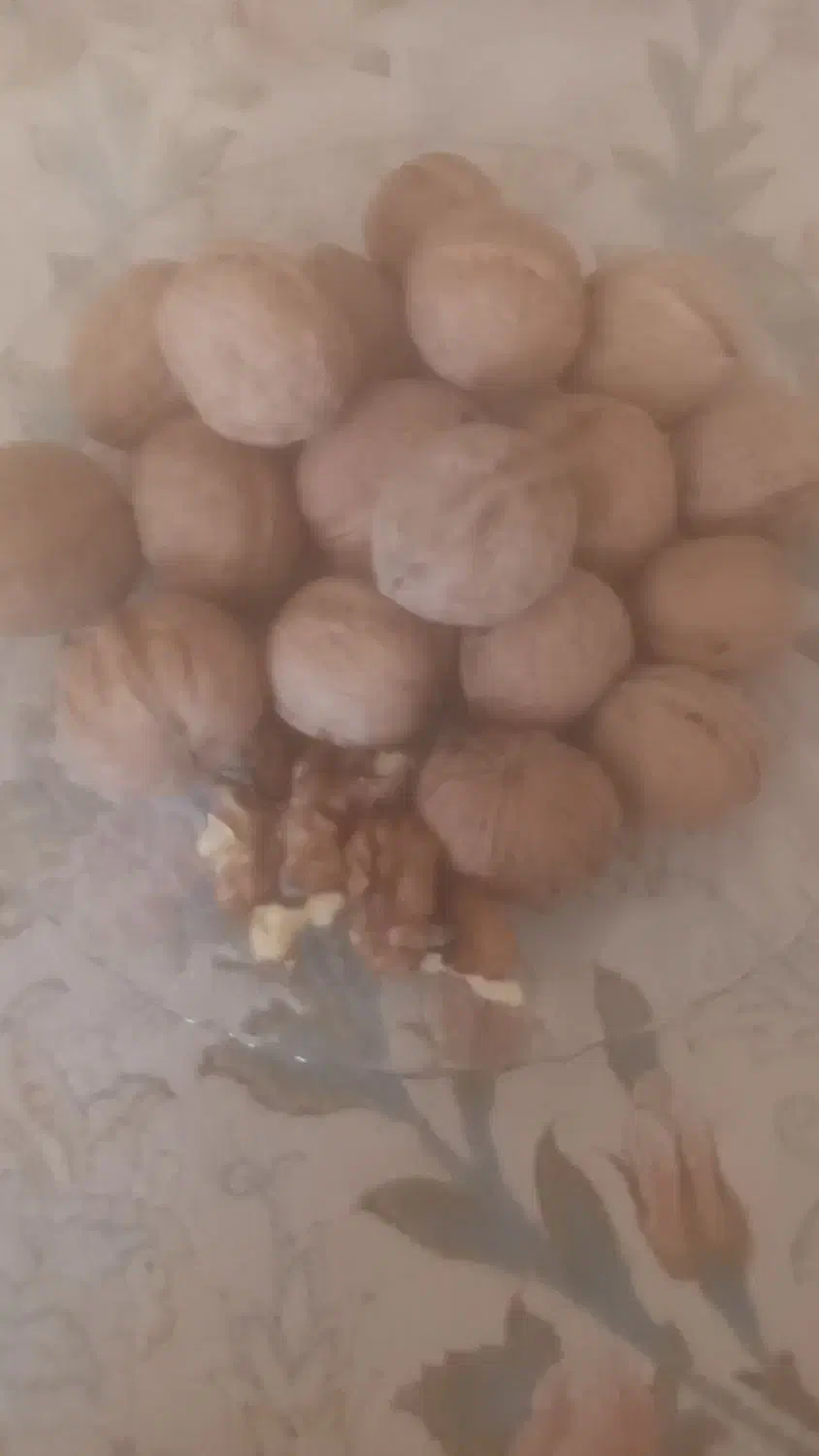 گردو ایرانی سامان درسه سایز|خوردنی و آشامیدنی|اصفهان, دانشگاه اصفهان|دیوار