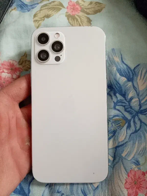 گوشی آیفون 13 پرومکس طرح|موبایل|قیدار, |دیوار