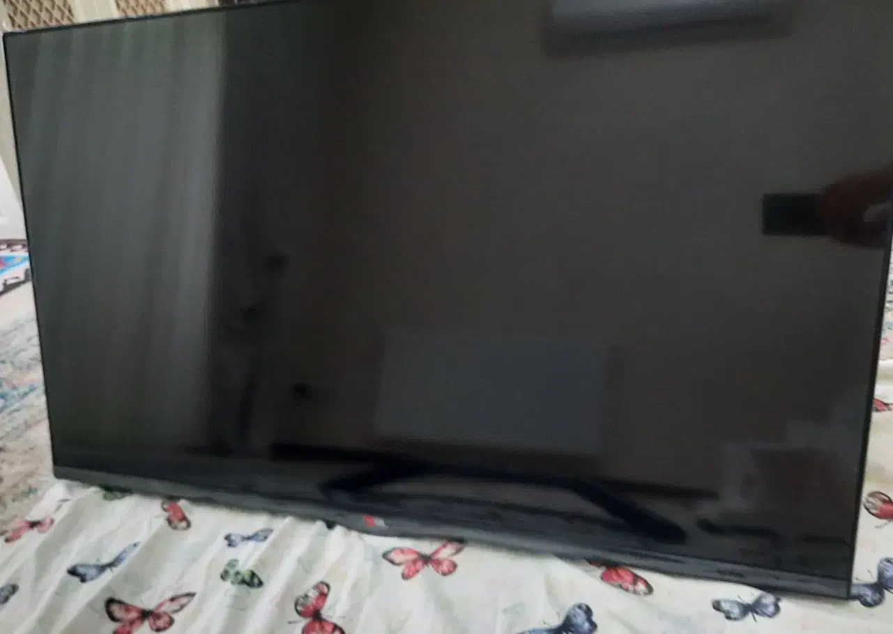 تلویزیون|تلویزیون و پروژکتور|زنجان, |دیوار