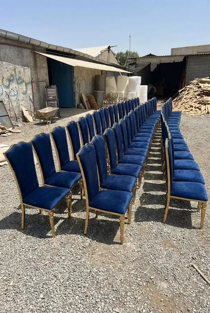 صندلی تالار/تالاری مدل فرشته کد ۷۲|میز و صندلی غذاخوری|تهران, جلیلی|دیوار
