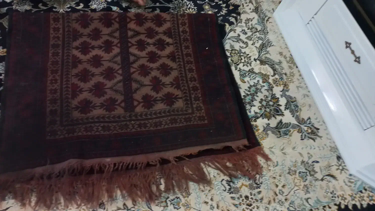 قالیچه دست بافت|فرش|مشهد, طبرسی شمالی|دیوار