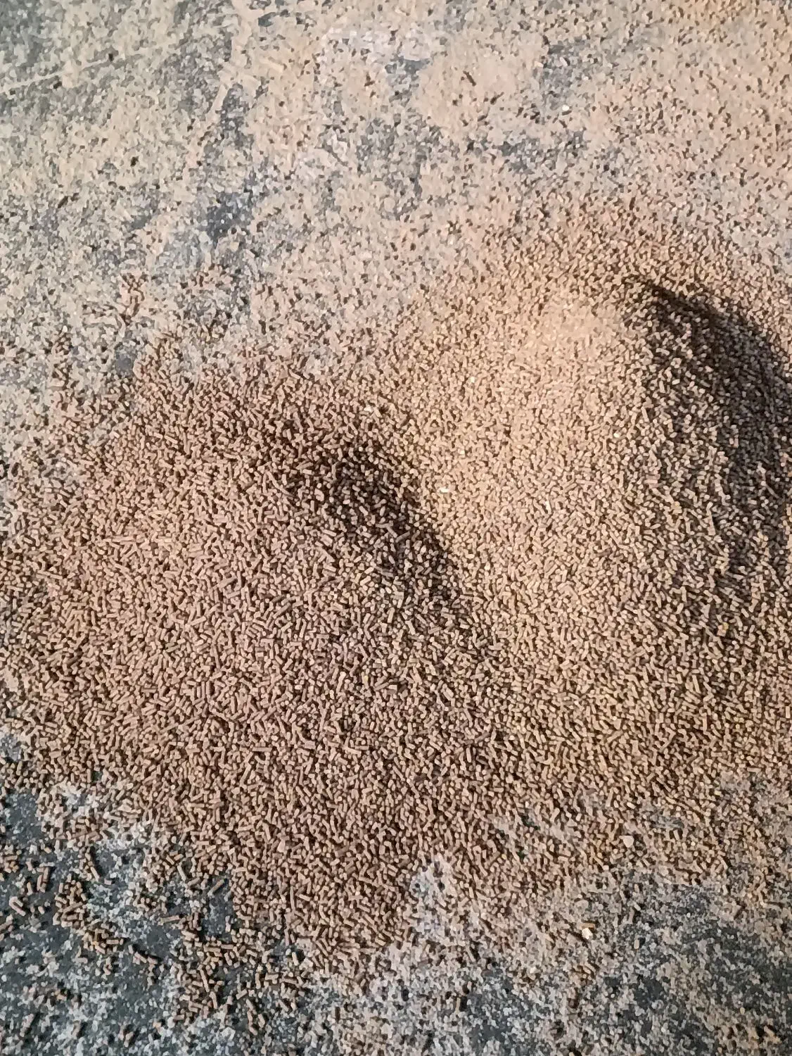 عمده فروشی دان پلت مرغی ودامی|عمدهفروشی|میلاجرد, |دیوار