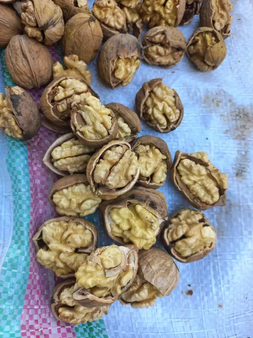 خرید و فروش خشکبار|خوردنی و آشامیدنی|شبستر, |دیوار