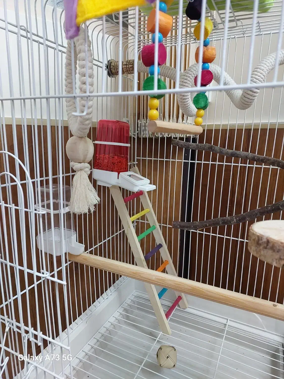 قفس بزرگ طوطی کاسکو با وسایل کامل|لوازم جانبی حیوانات|قم, میرزائیه|دیوار