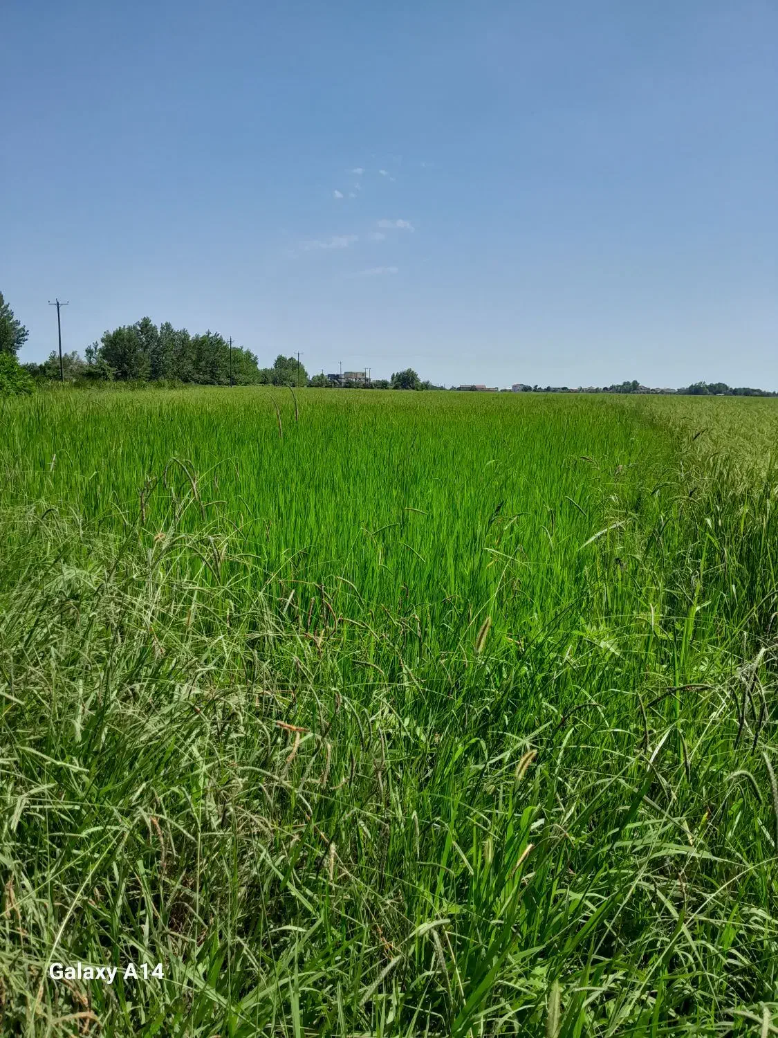 بجار|فروش زمین و ملک کلنگی|پرهسر, |دیوار