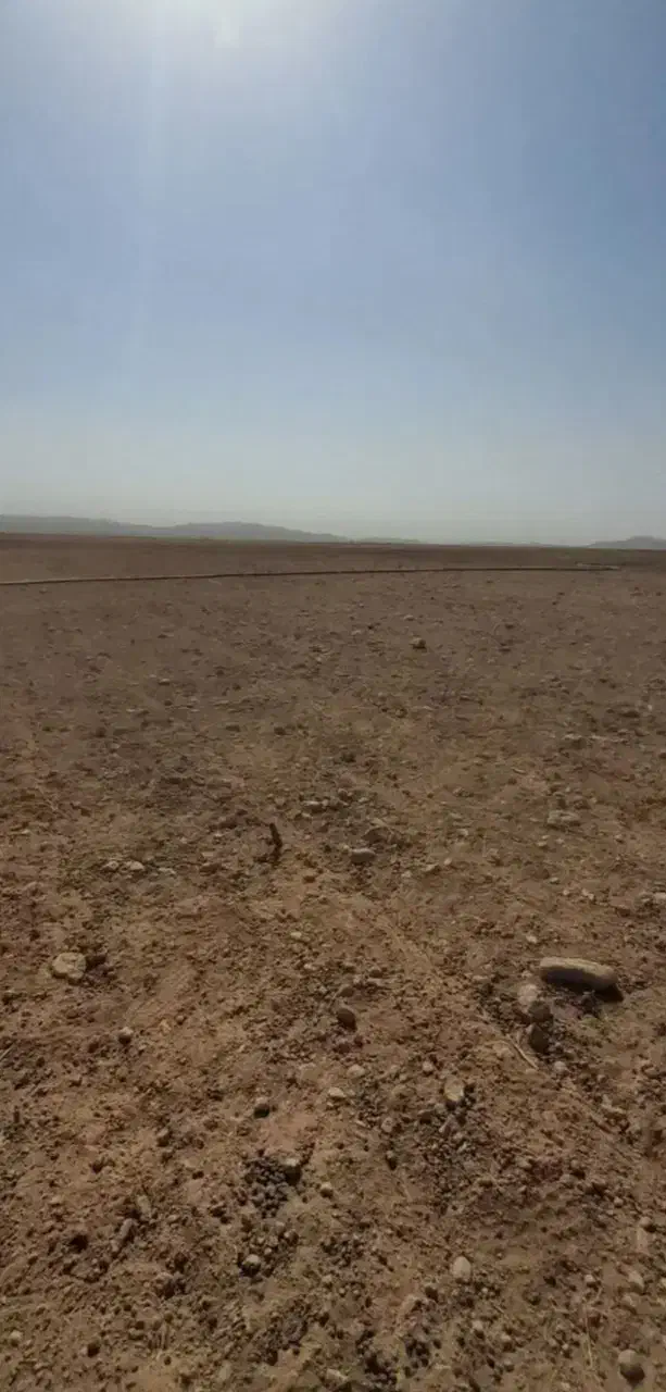 زمین کشاورزی با چاه آب|اجارهٔ دفتر صنعتی، کشاورزی، تجاری|گلبهار, بیزکی|دیوار