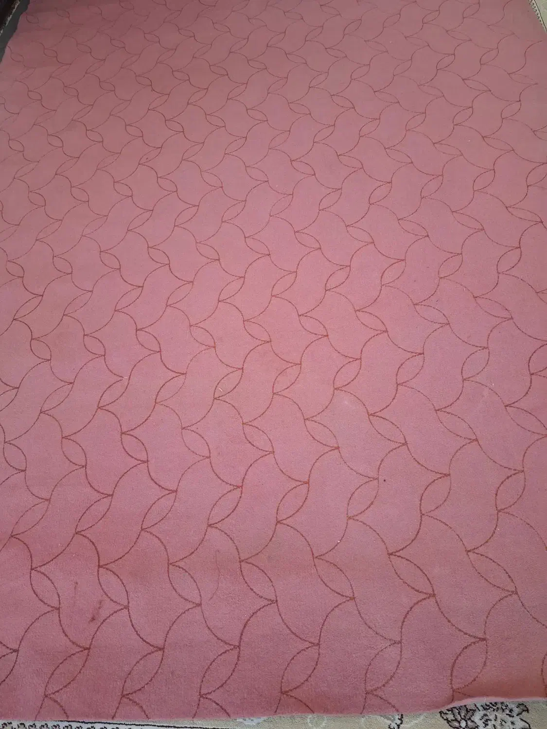 موکت درگرگان کوی خیام|موکت|گرگان, |دیوار