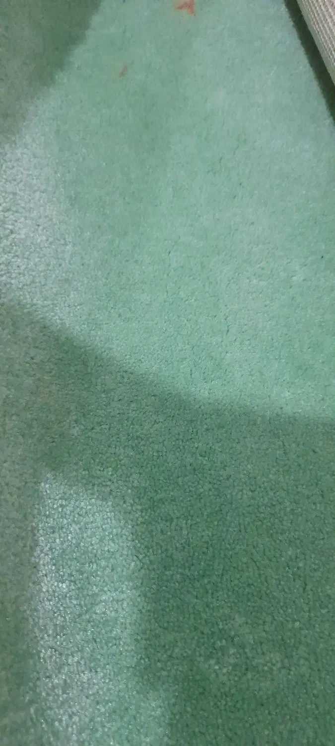 ۲ عدد پالاز موکت|موکت|بندر ماهشهر, |دیوار