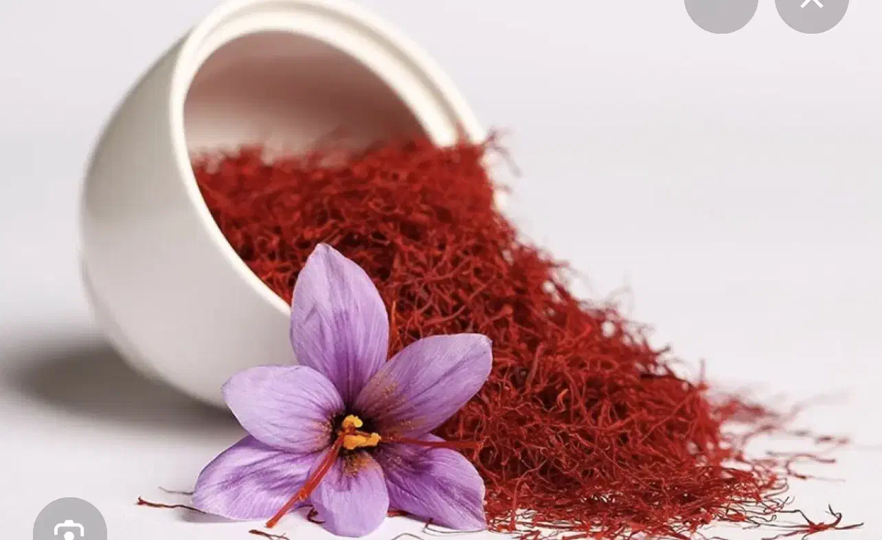 خریدار زعفران وعده ای|خدمات باغبانی و درختکاری|تربت‌حیدریه, میدان مرکزی|دیوار