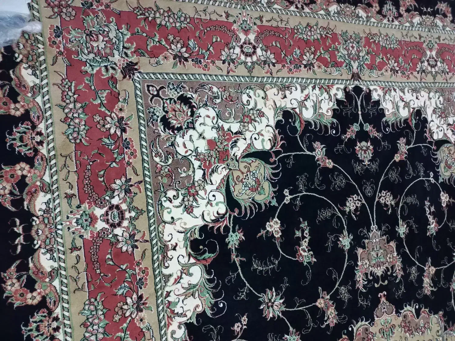 قالین ۹ متری|فرش|تربت جام, شهرک آزادگان|دیوار