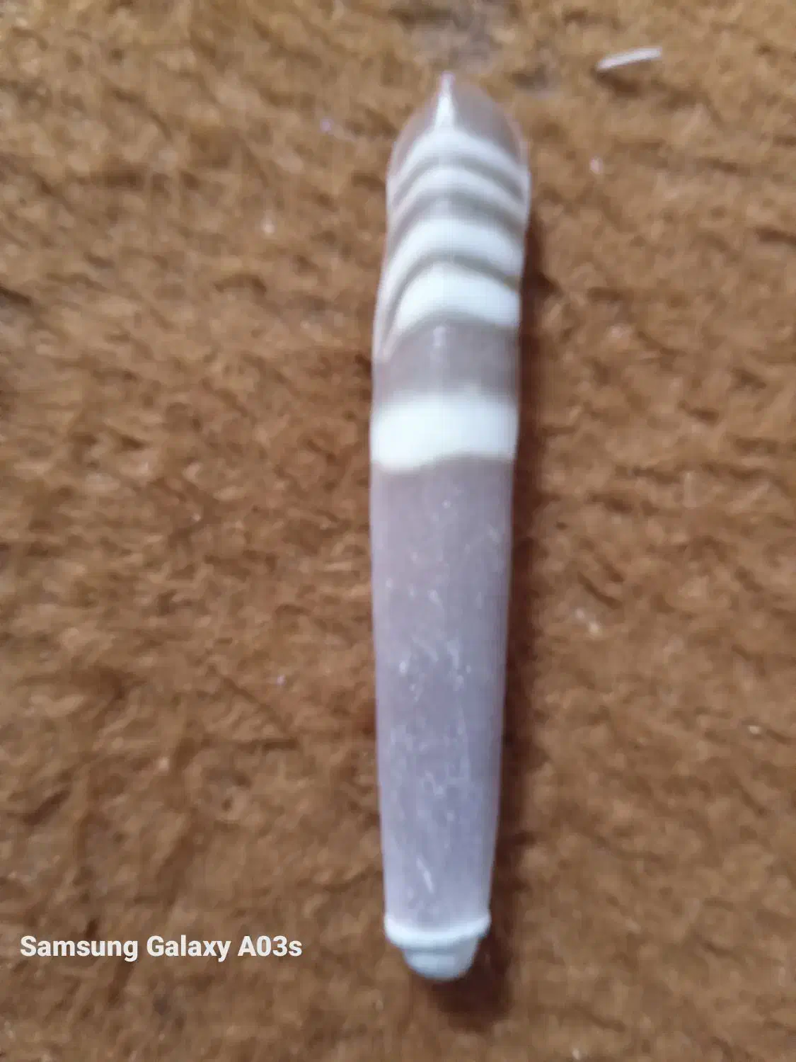 مهره عرج سواحل بحری شادگان|جواهرات|شادگان, |دیوار