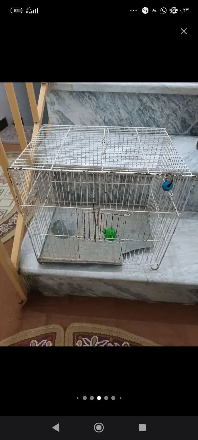 حراجی|حراج|بروجرد, |دیوار