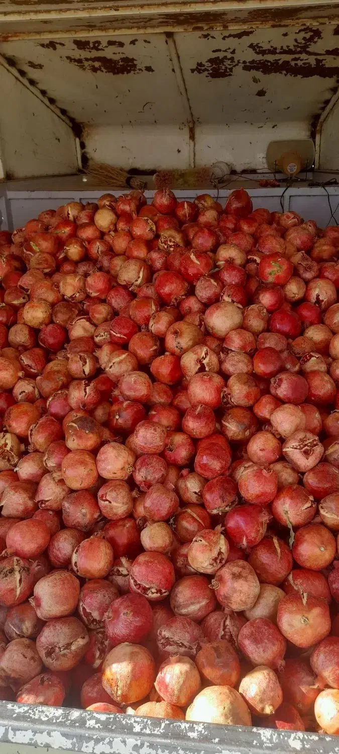 انار انار شکسته|خوردنی و آشامیدنی|کمیجان, |دیوار