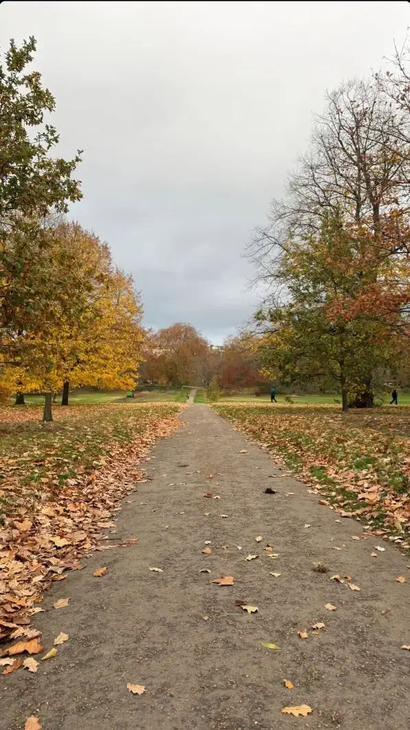 دنبال کار هستم|خدمات پیشه و مهارت|کاشان, لتحر|دیوار