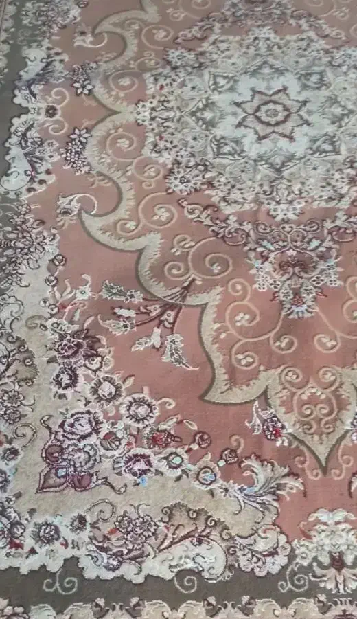 فرش ۱۲ متری نقش برجسته|فرش|دوگنبدان, |دیوار