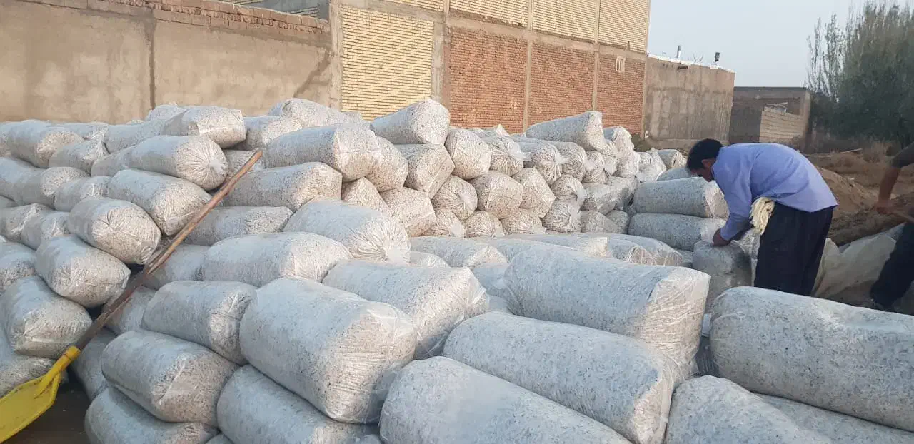 تفاله چغندر رنده شده برای پرواری بره|حیوانات مزرعه|سورنا, |دیوار