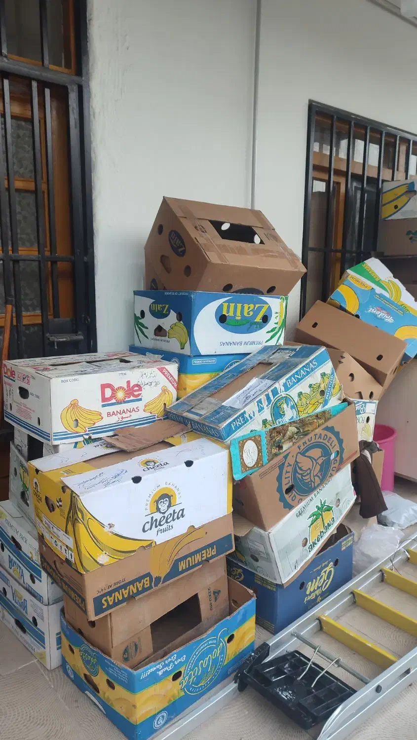 ۲۵عدد کارتن موز محکم برای اثاث کشی|ابزارآلات|کلارآباد, |دیوار