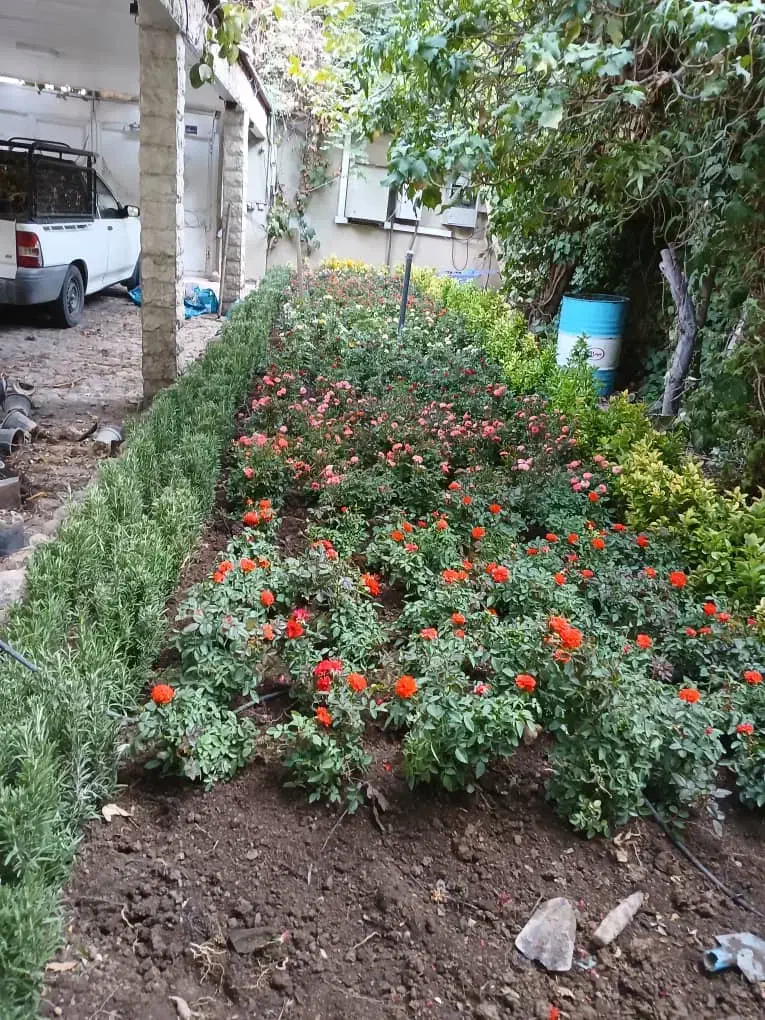 خدمات باغبانی باغچه کاری گلکاری هرس کاری چمن‌کاری|خدمات باغبانی و درختکاری|لواسان, |دیوار