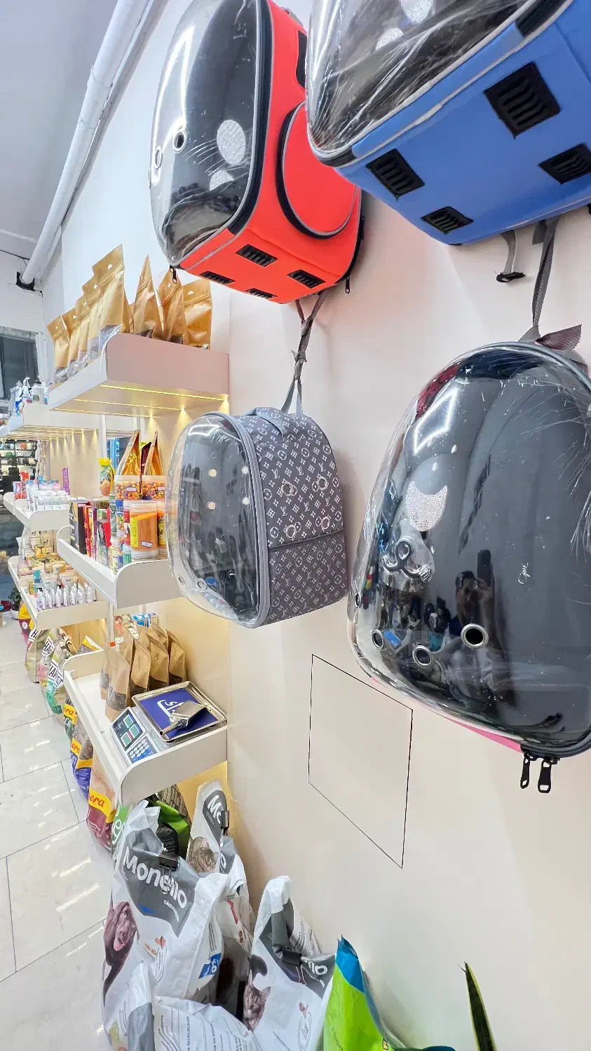 باکس حمل ظرف خاک جاخواب|لوازم جانبی حیوانات|مشهد, گلبرگ شمالی|دیوار