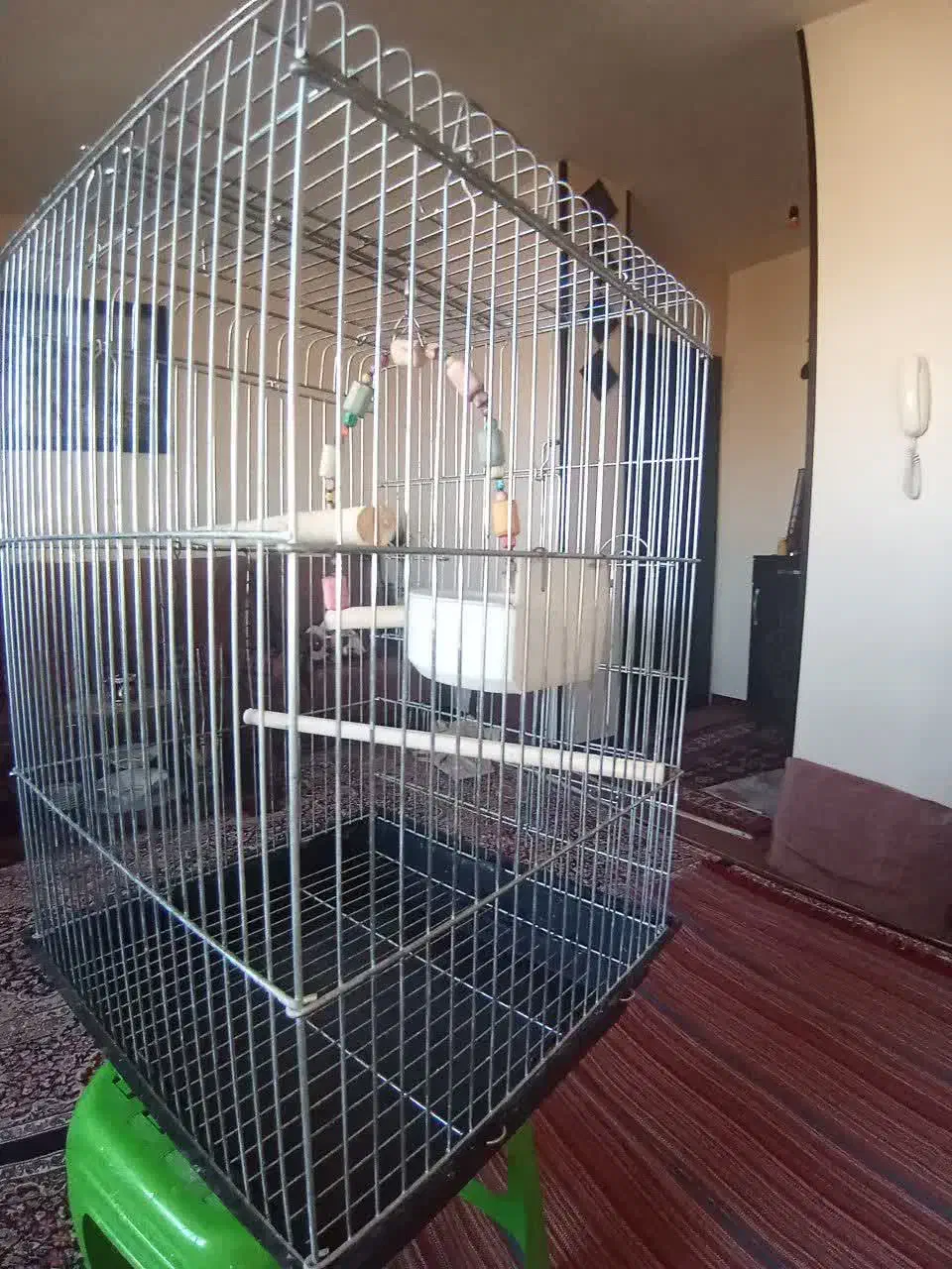 قفس پرنده|لوازم جانبی حیوانات|هشتگرد, شهرک بوستان|دیوار