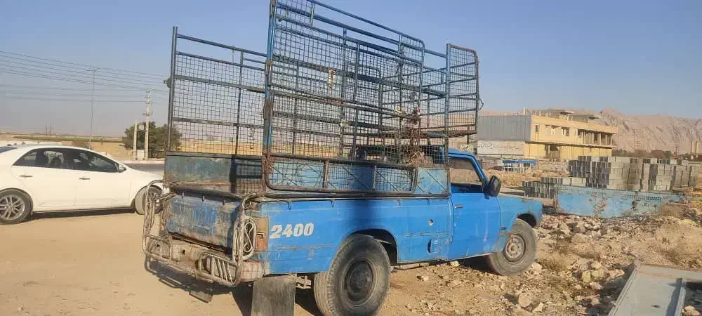 نیسان ۸۴.دوگانهcng|خودرو سواری و وانت|زرقان, |دیوار