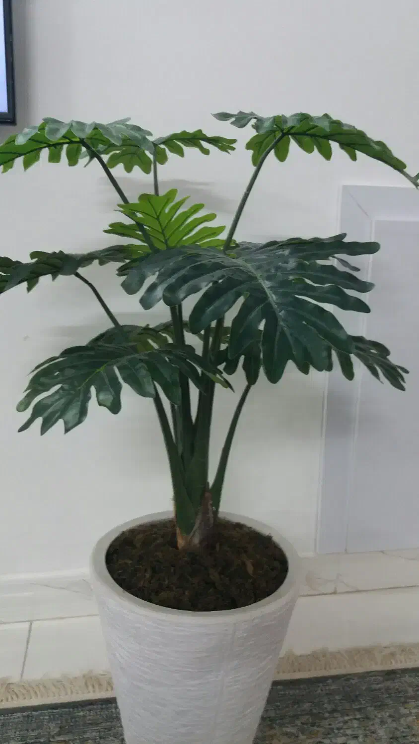 گل مصنوعی|گل مصنوعی|مشهد, پورسینا|دیوار