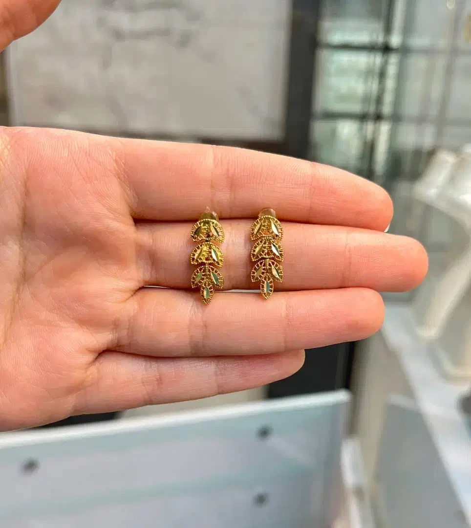 تعدادی گل گوش نقره|جواهرات|شیراز, گویم|دیوار