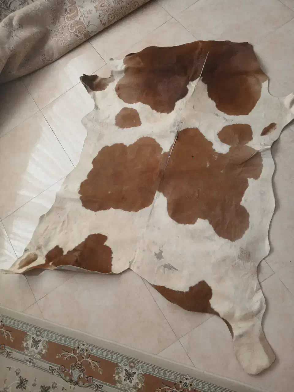 پوست گاو دو رنگ سفید و قهوه ای|پادری|تهران, آذری|دیوار