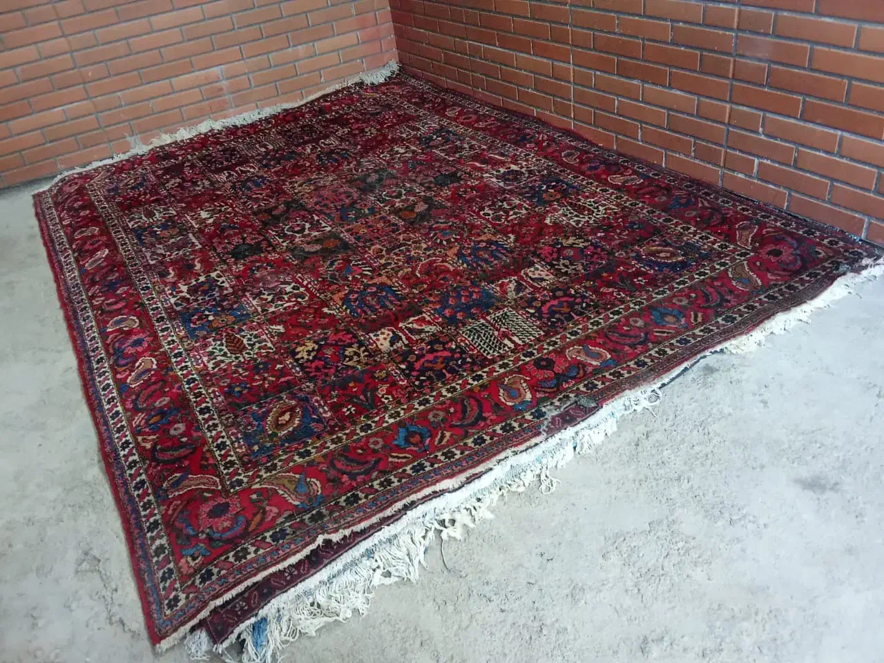 دو عدد فرش ۶ متری چالشتری قدمت دار|فرش|لردگان, |دیوار