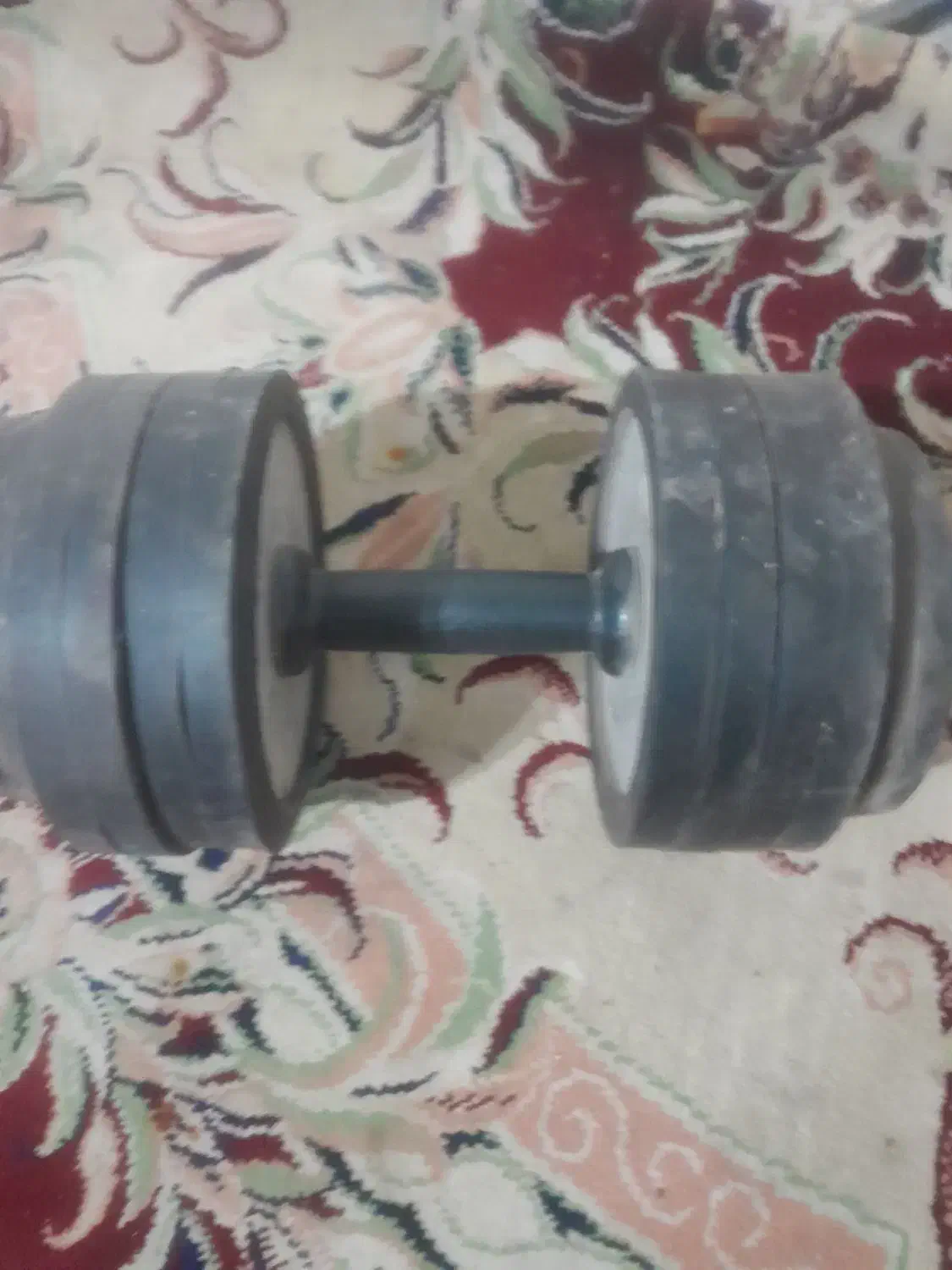 دنبلان ده کیلوی|تجهیزات ورزشی|قم, جمکران|دیوار