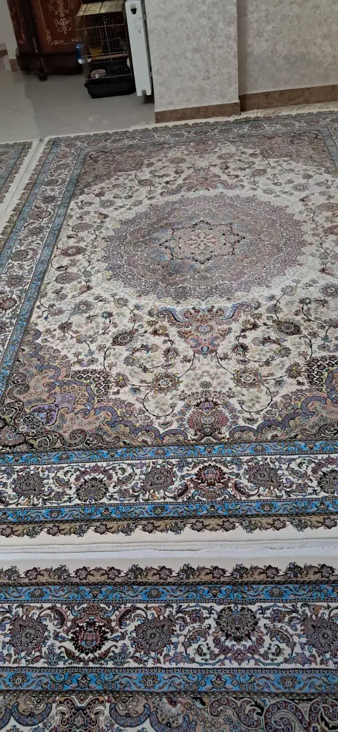 فرش ۶ متری اصیل تبریز ۵ تخته|فرش|کرمانشاه, |دیوار