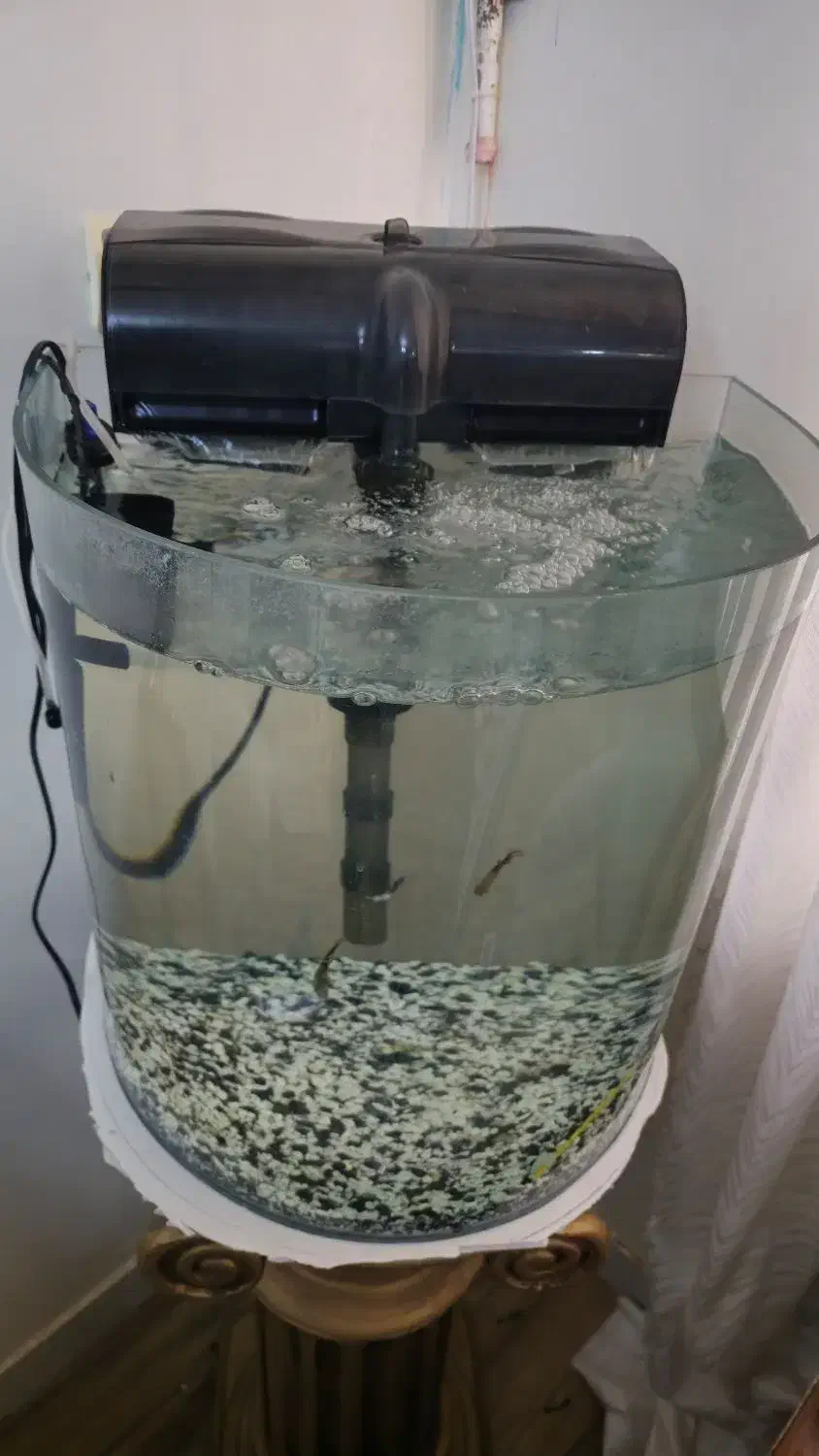 اکواریوم یا وسایل|ماهی|اهواز, ۳۰ متری|دیوار