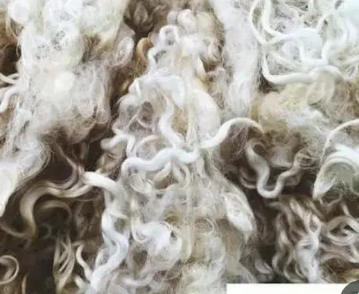 پشم گوسفند|رختخواب، بالش، پتو|ارشق, |دیوار