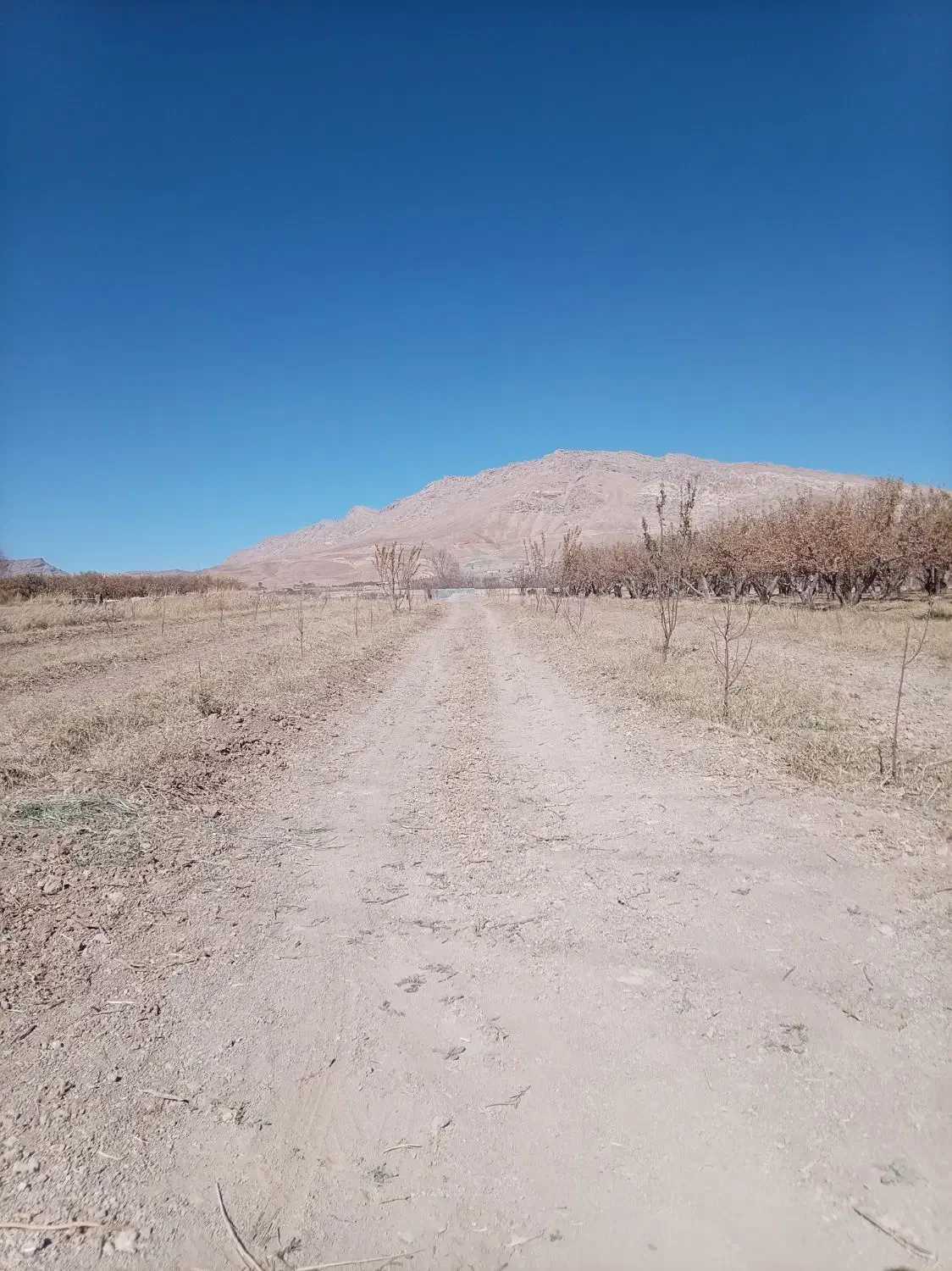 فروش|فروش دفتر صنعتی، کشاورزی، تجاری|سمیرم, |دیوار