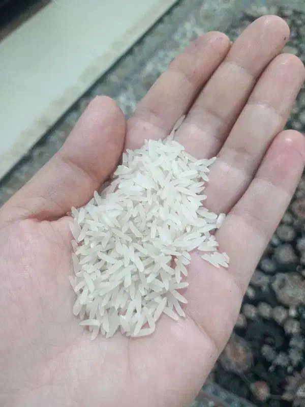 برنج فجر سوزنی|خوردنی و آشامیدنی|سرخنکلاته, |دیوار